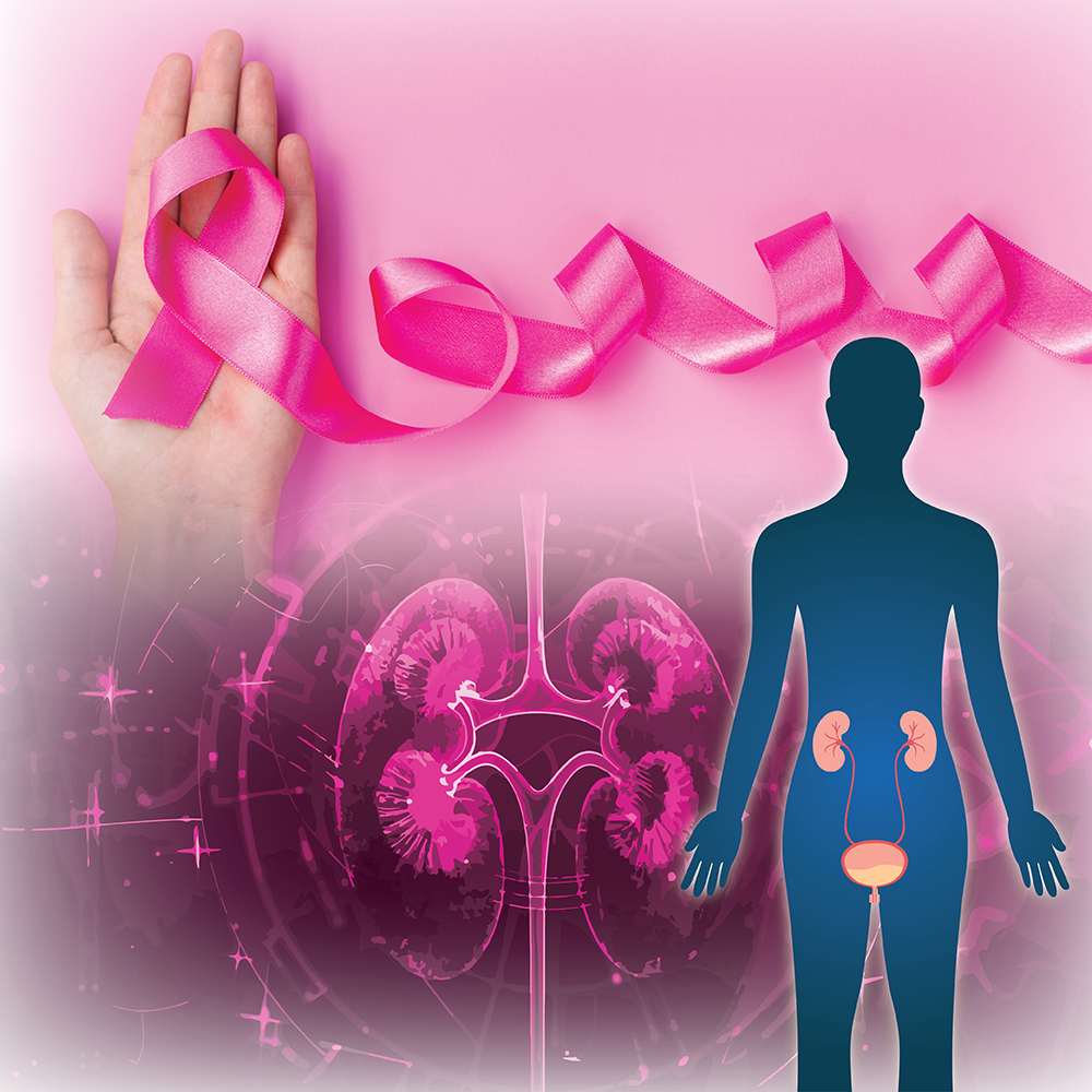 Web banner 1000x1000px Epistimoniki Diimerida IASO 11-2025